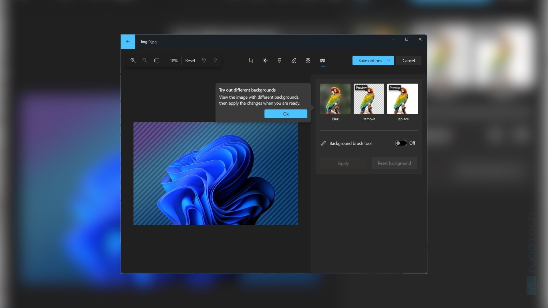 Aplicação de fotos do Windows 11