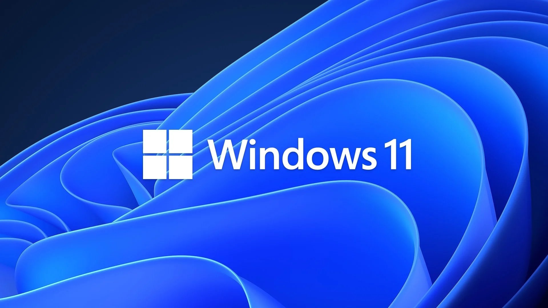 Logo do Windows 11