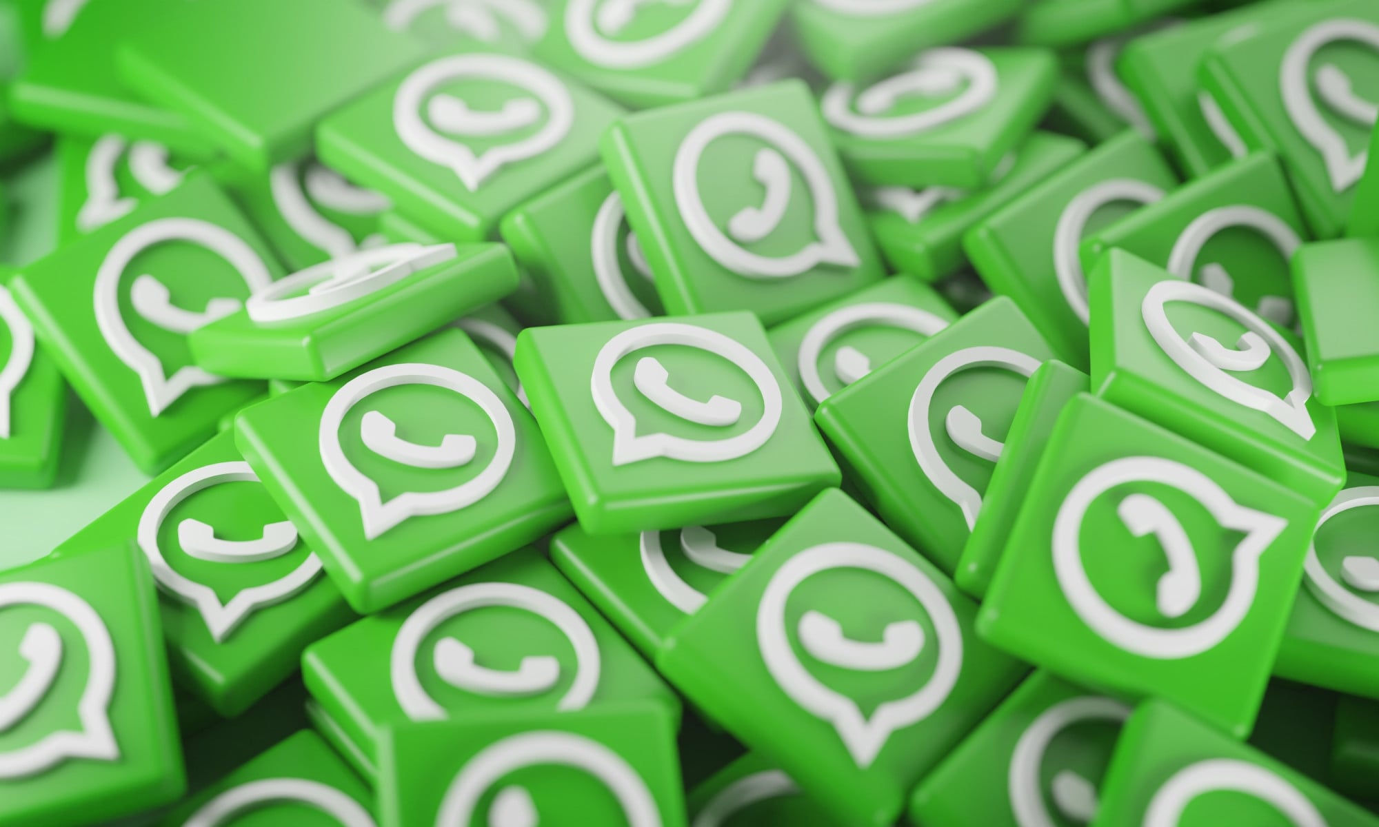 imagem de whatsapp