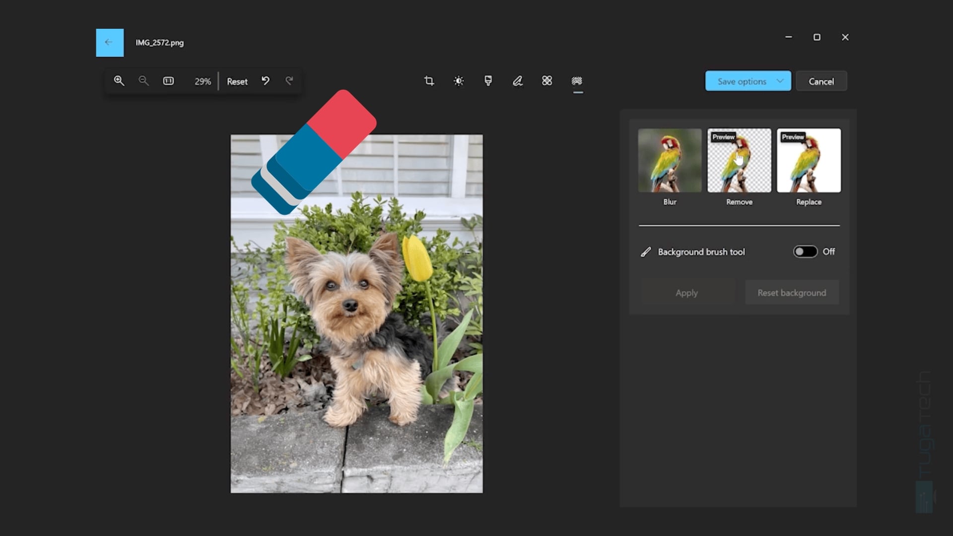 Fotos no Windows 11