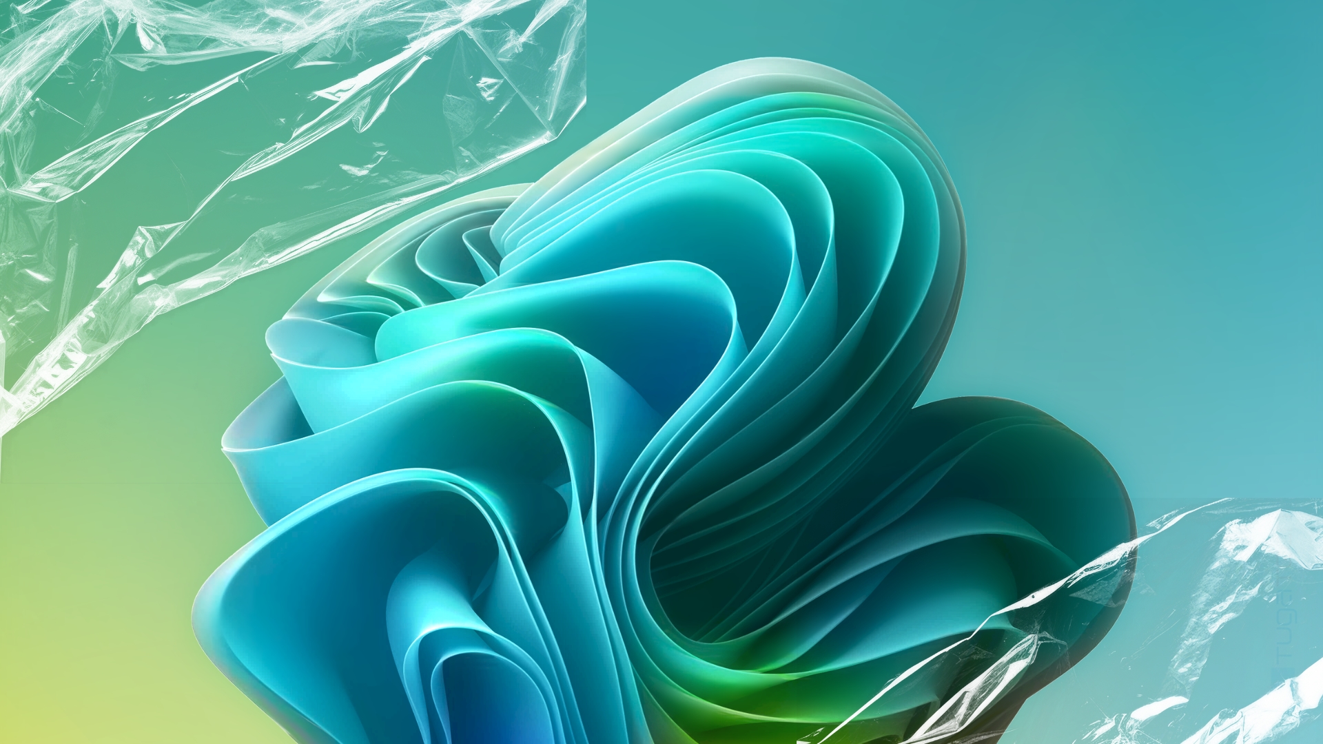 Windows 11 imagem de fundo