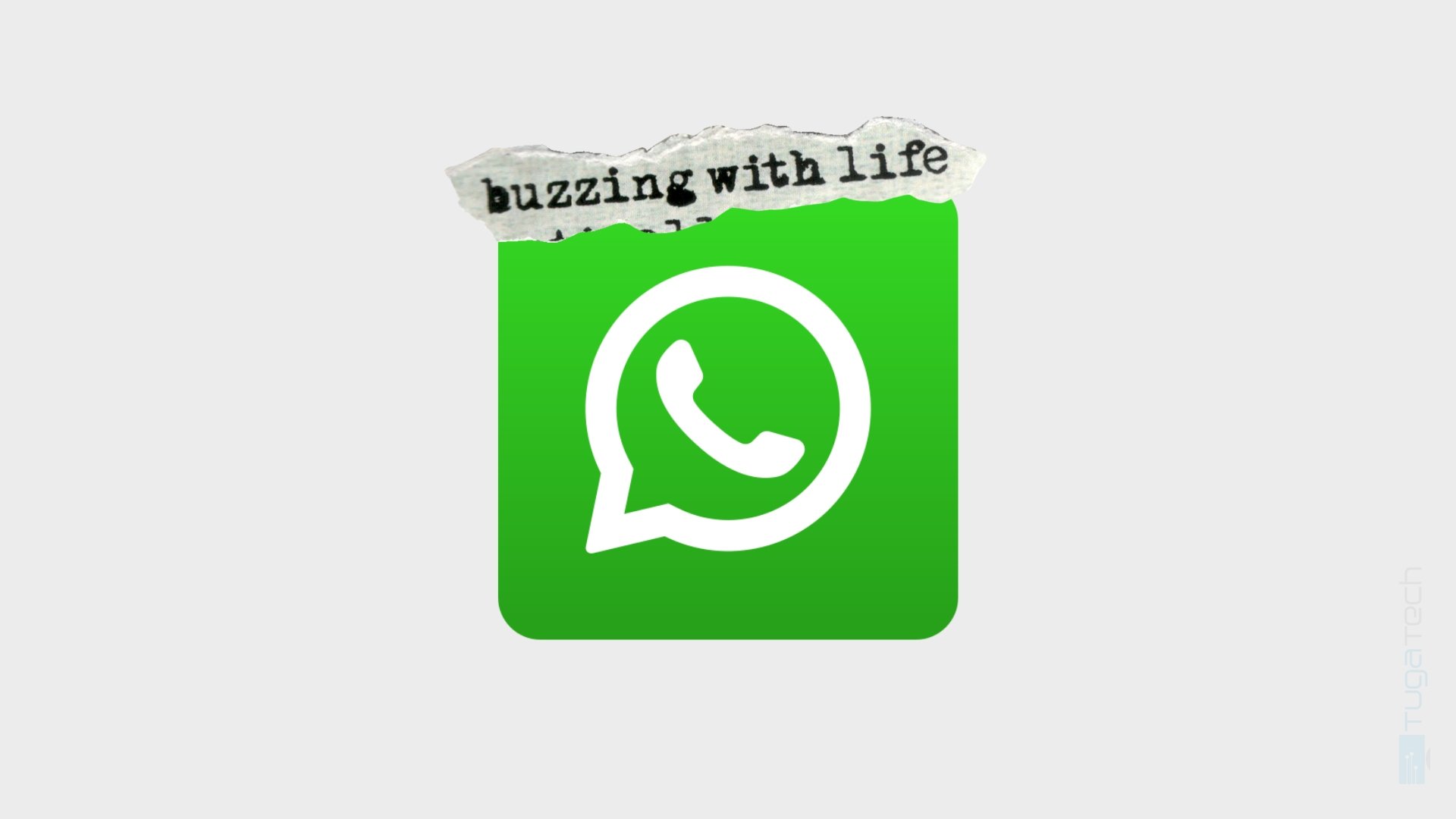 WhatsApp com linha de texto no topo do icone
