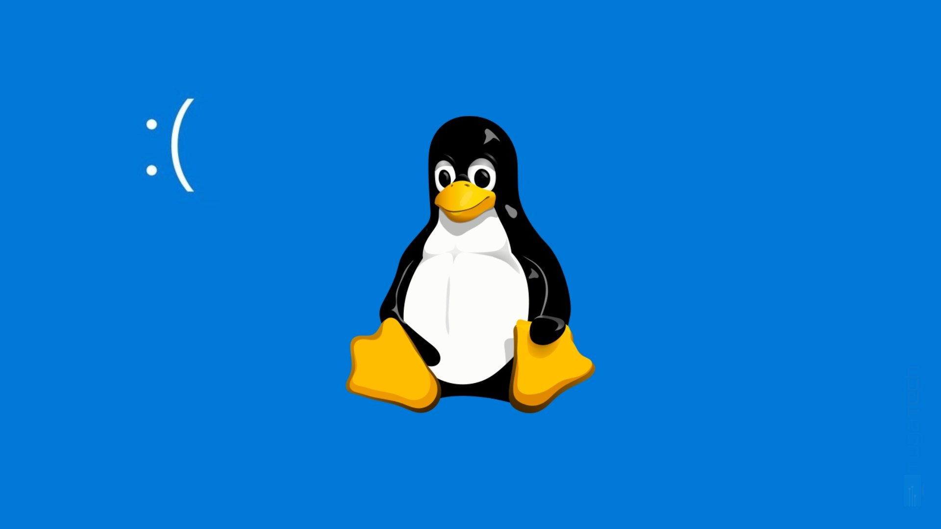 Linux com ecrã azul