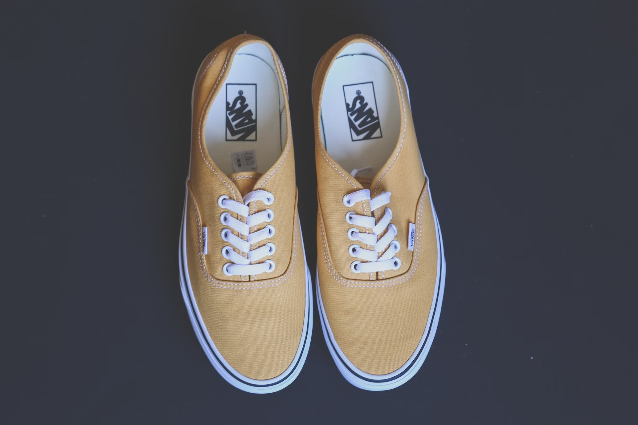 vans sapatilhas