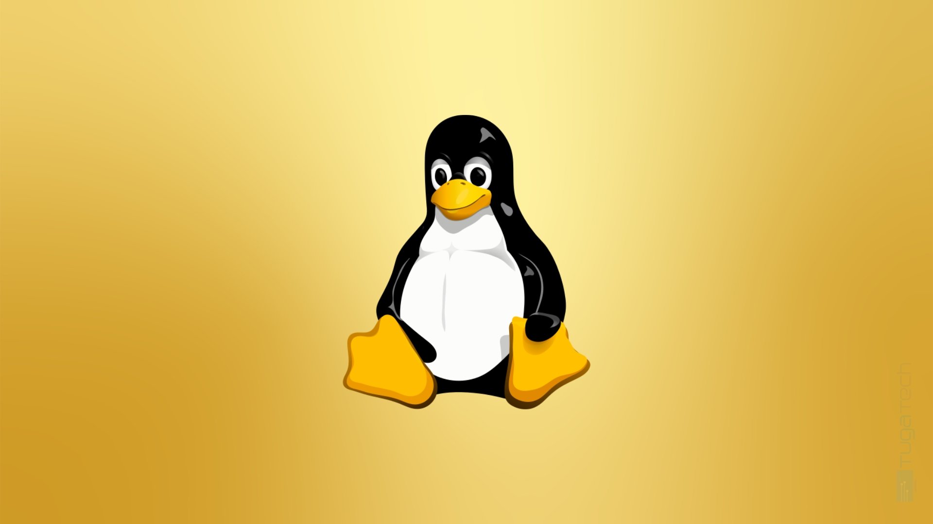 Linux 6.7 não deve ser lançado este ano