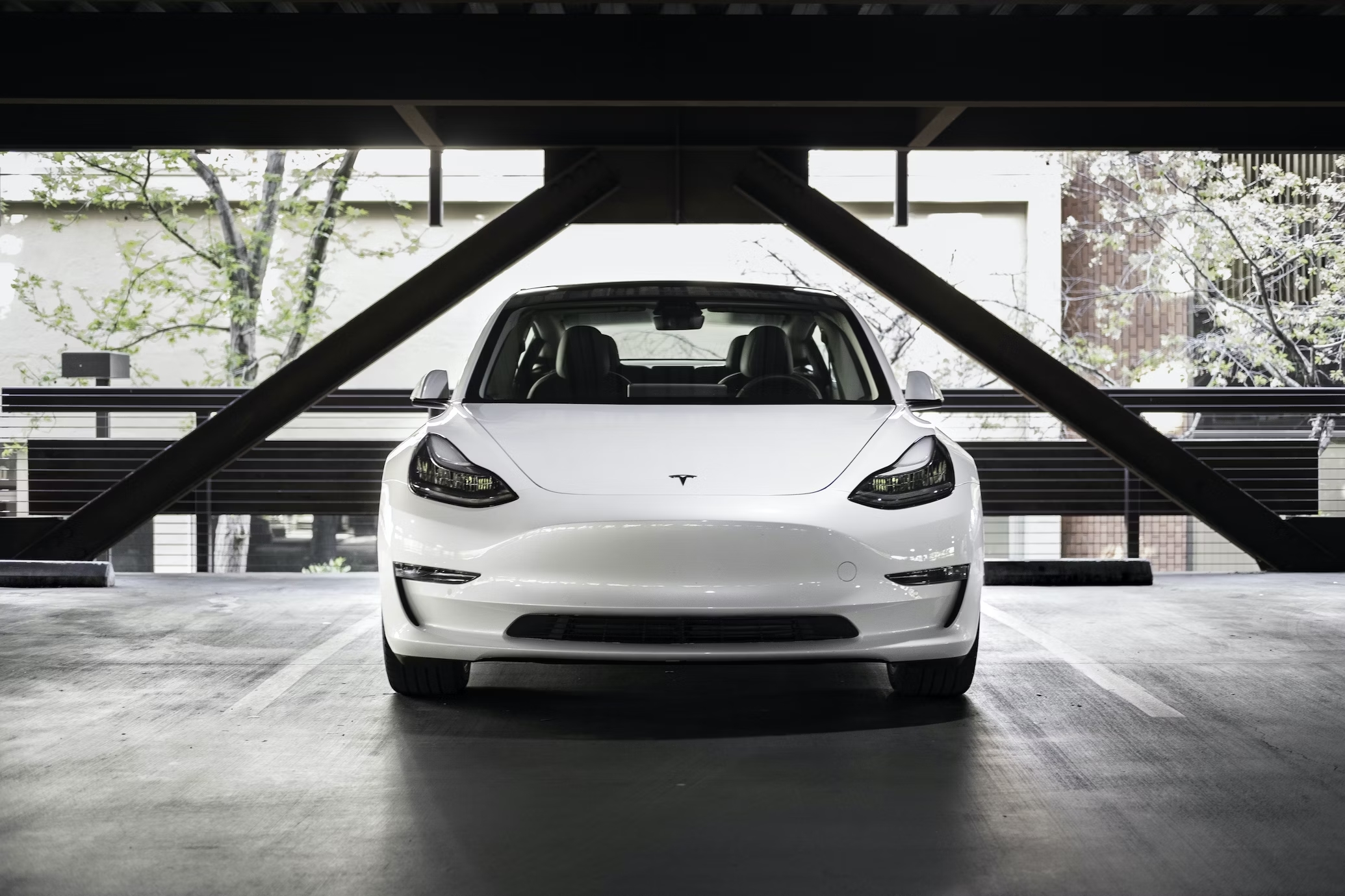 Tesla frente