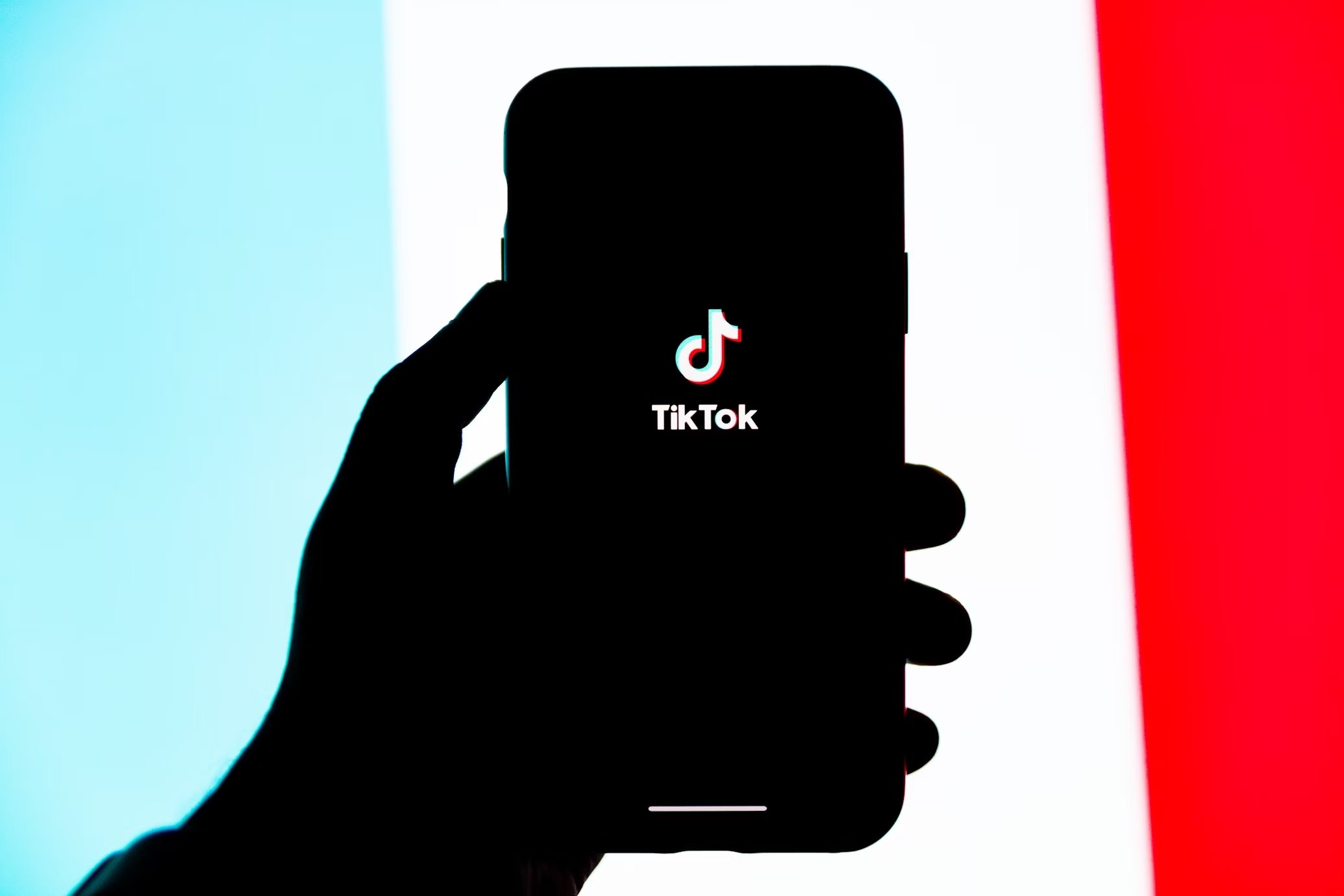 TikTok prepara-se para combater conteúdos enganadores sobre eleições na União Europeia