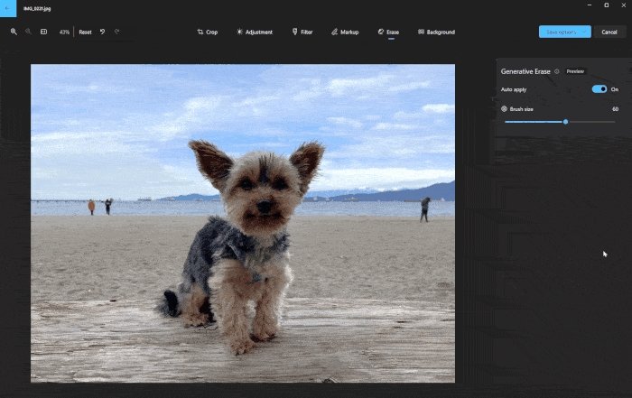 Aplicação nativa de Fotos do Windows vai usar IA para remover objetos