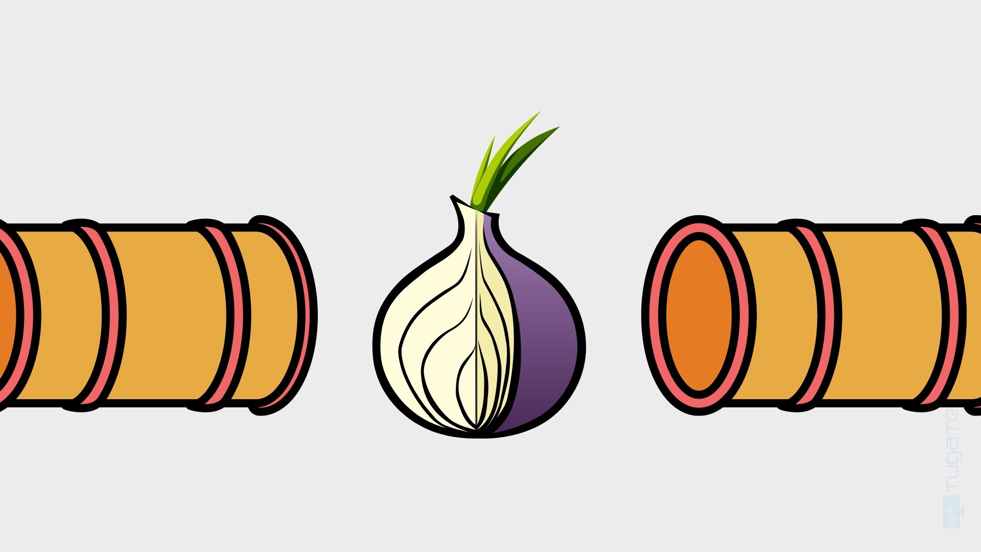 WebTunnel na rede Tor oculta ligações como HTTPS
