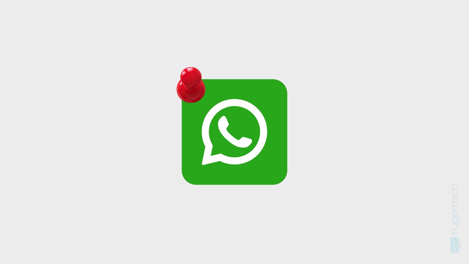 WhatsApp fixo