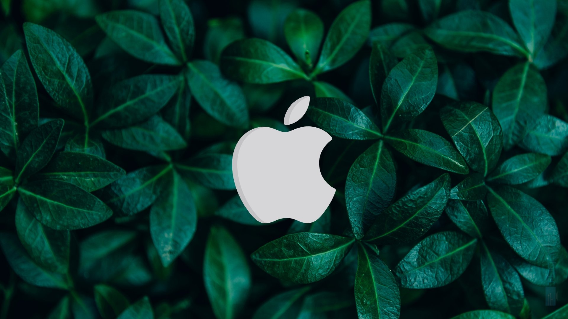 Apple logo sobre fundo verde