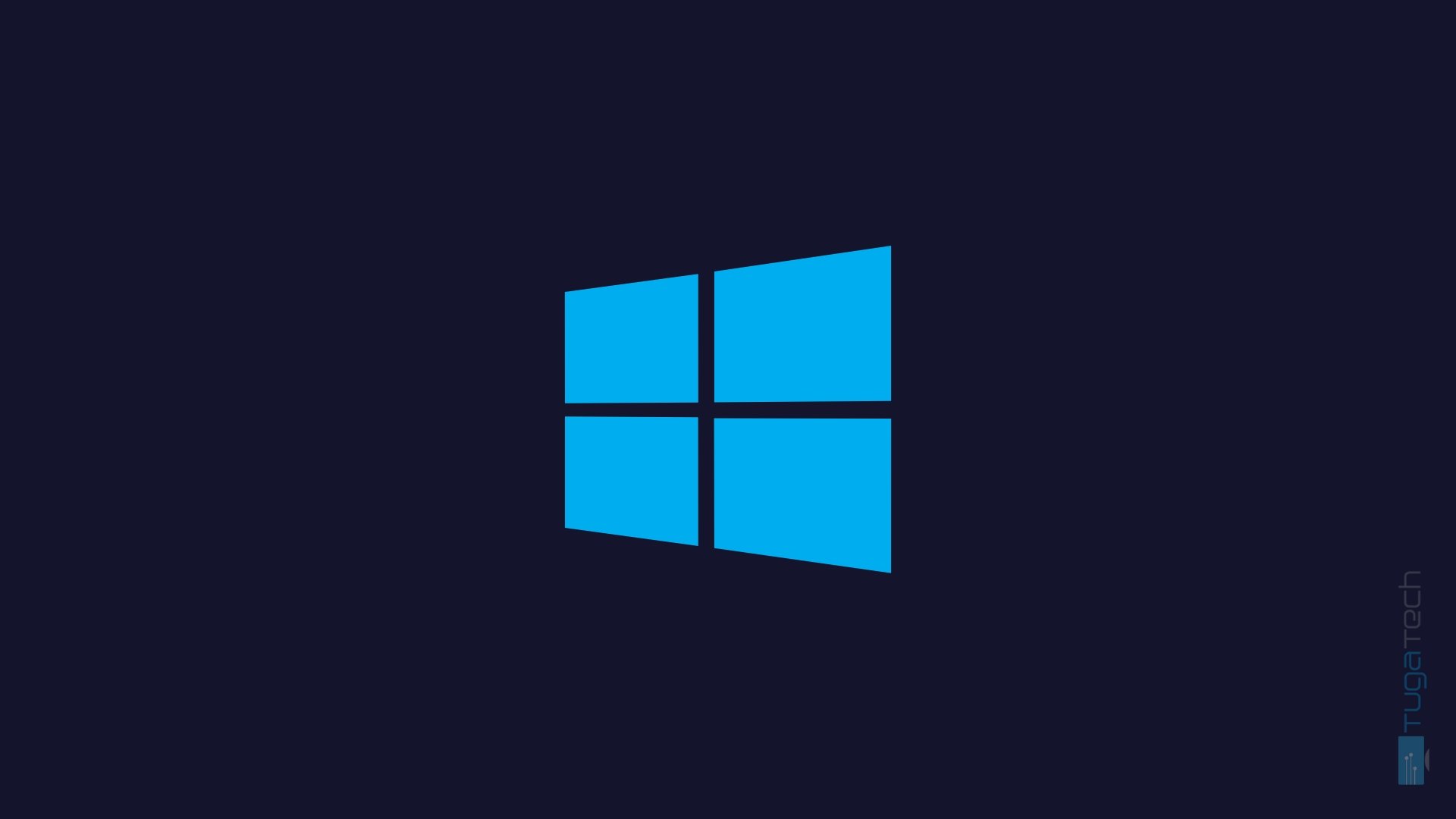 Windows logo com o Windows server
