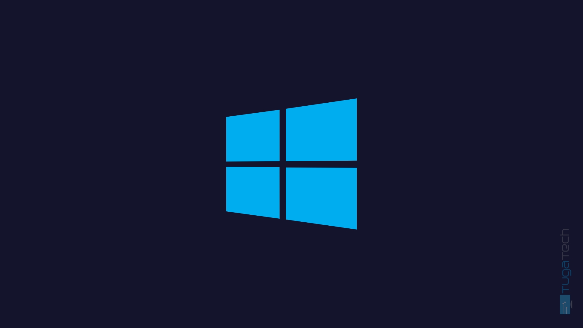Windows logo com o Windows server