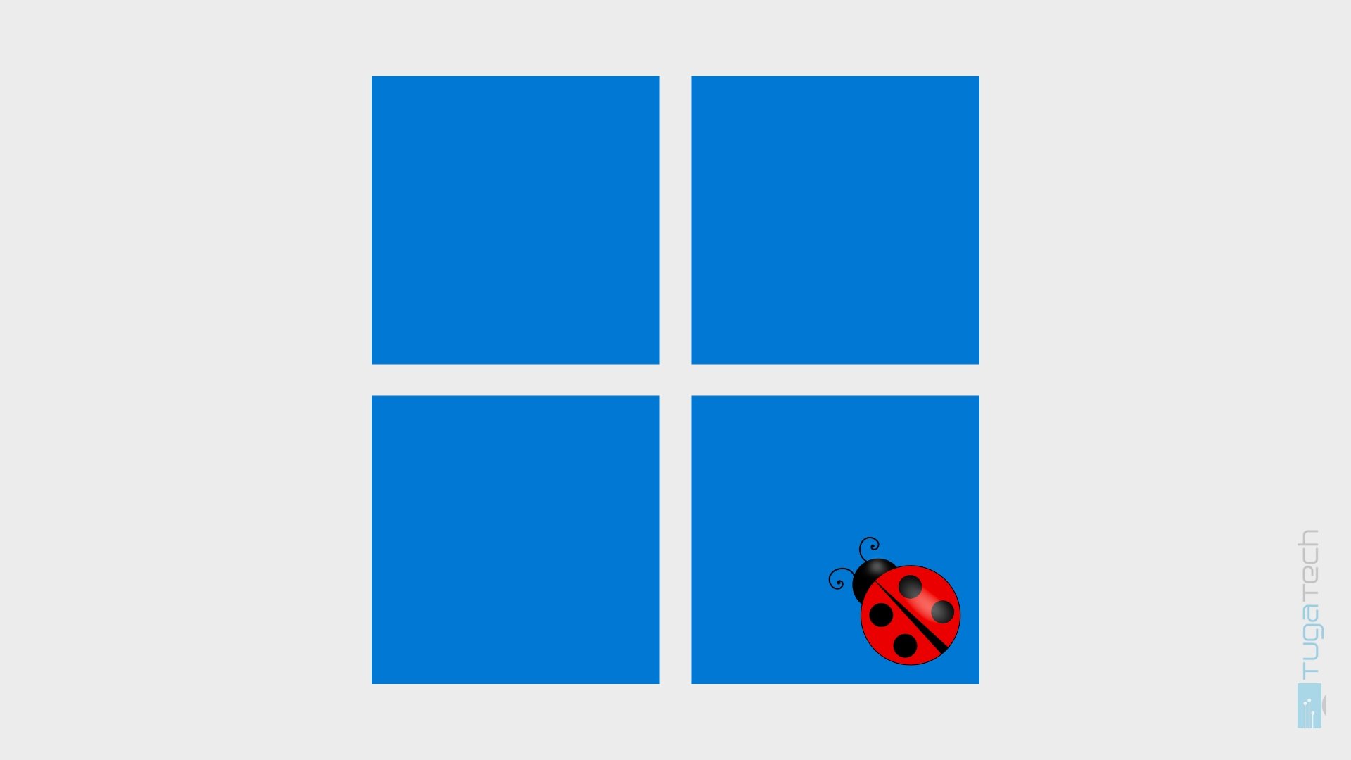 Windows 11 com bugs