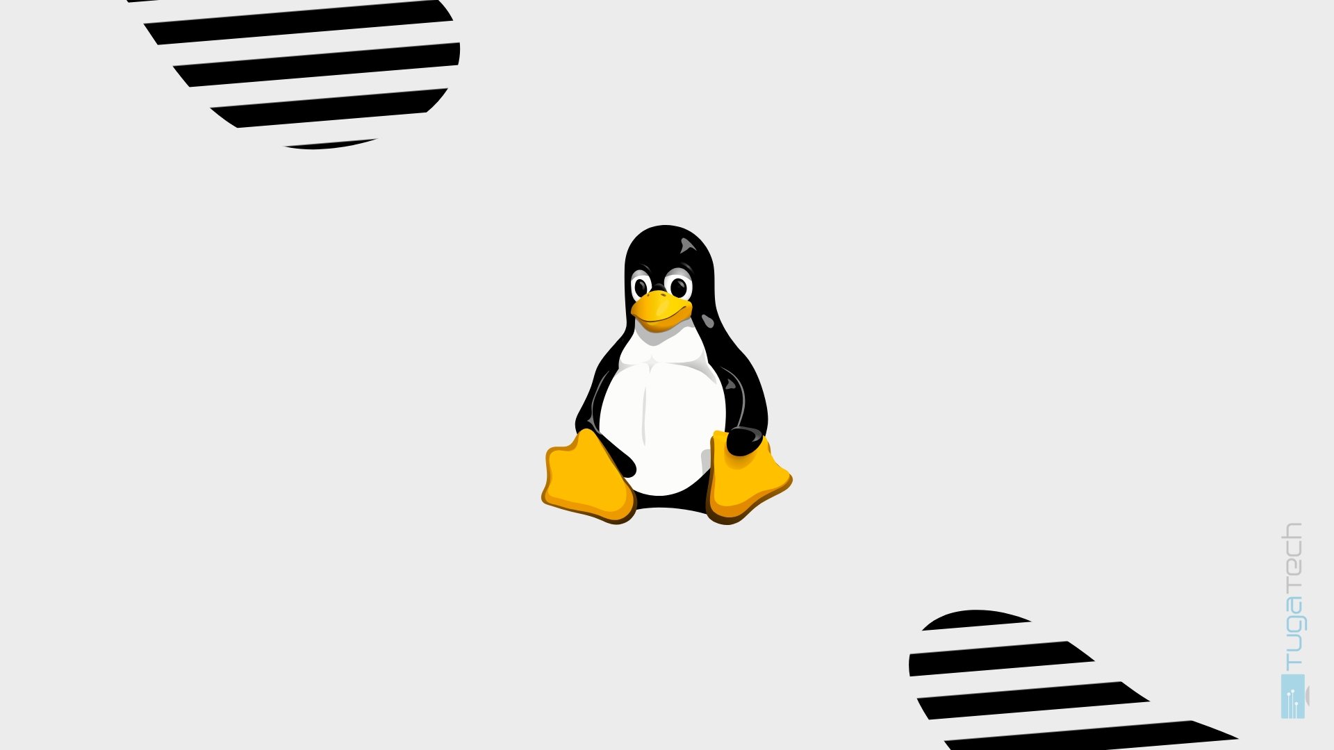 Linux Kernel