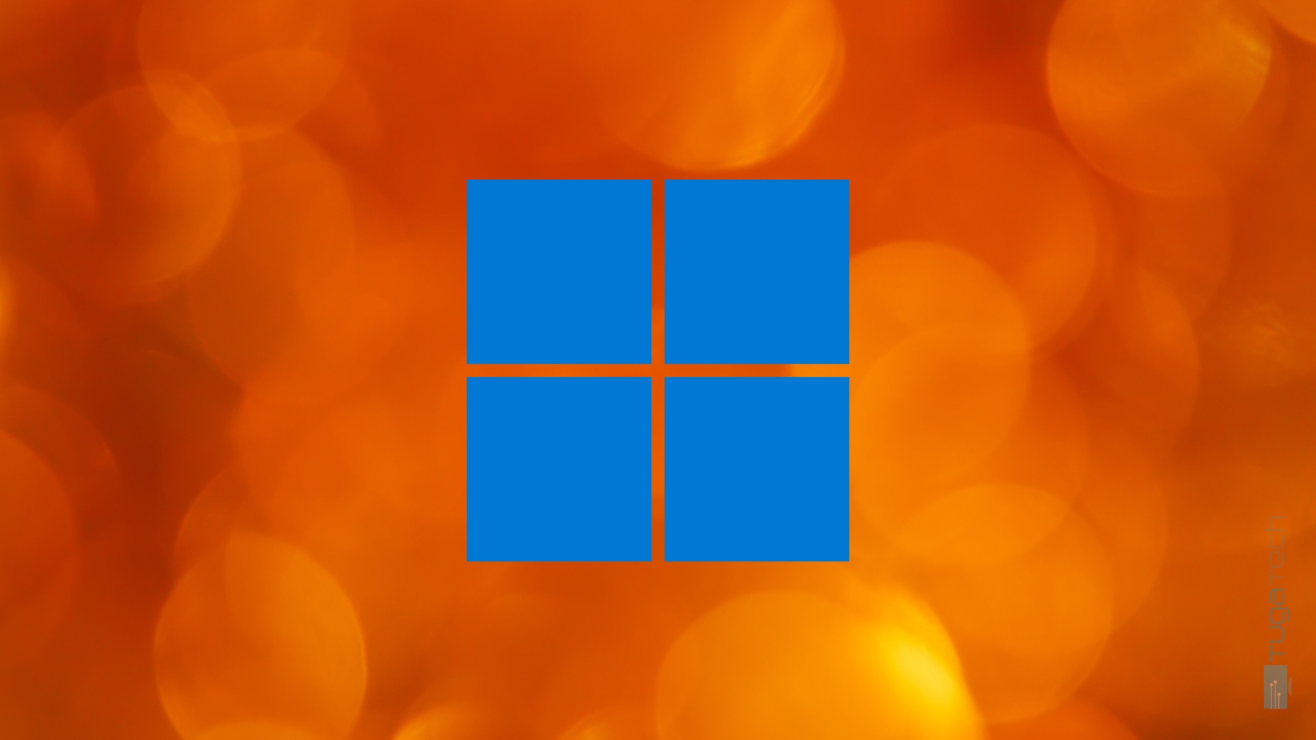 Windows 11