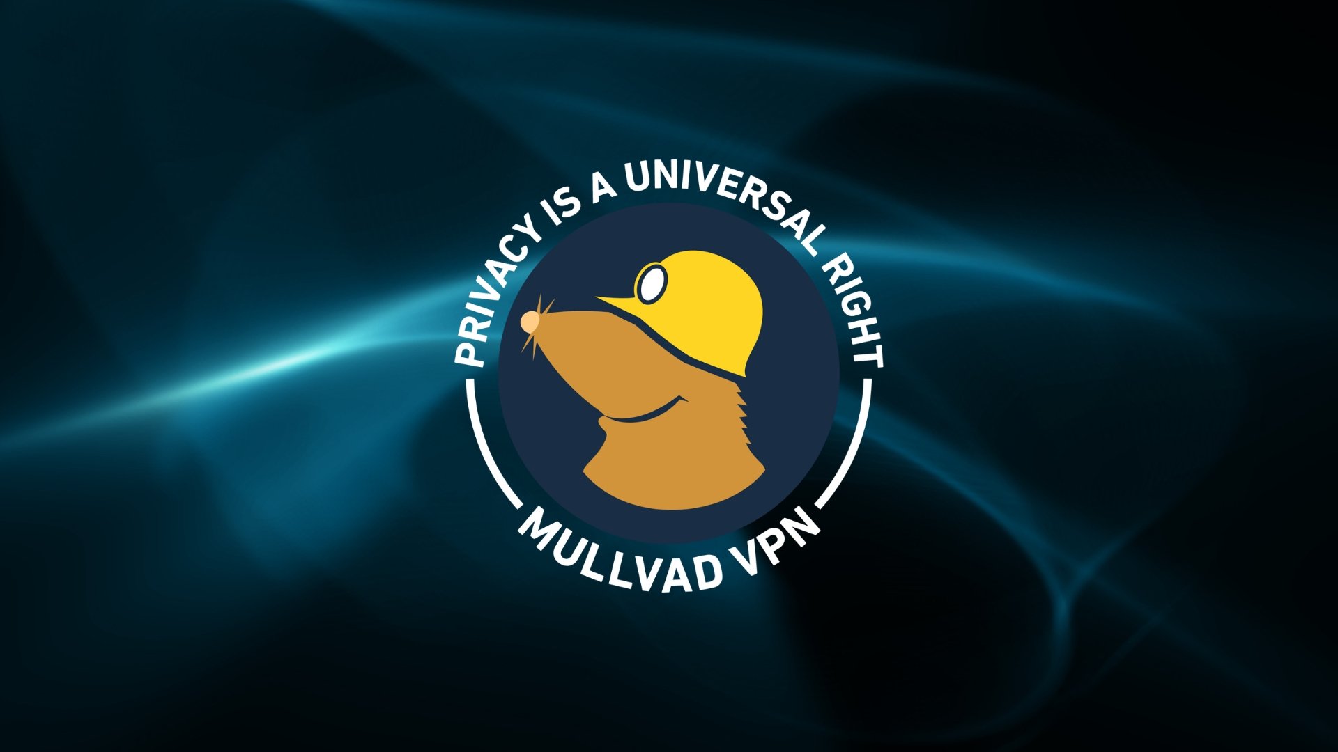 Mullvad VPN logo