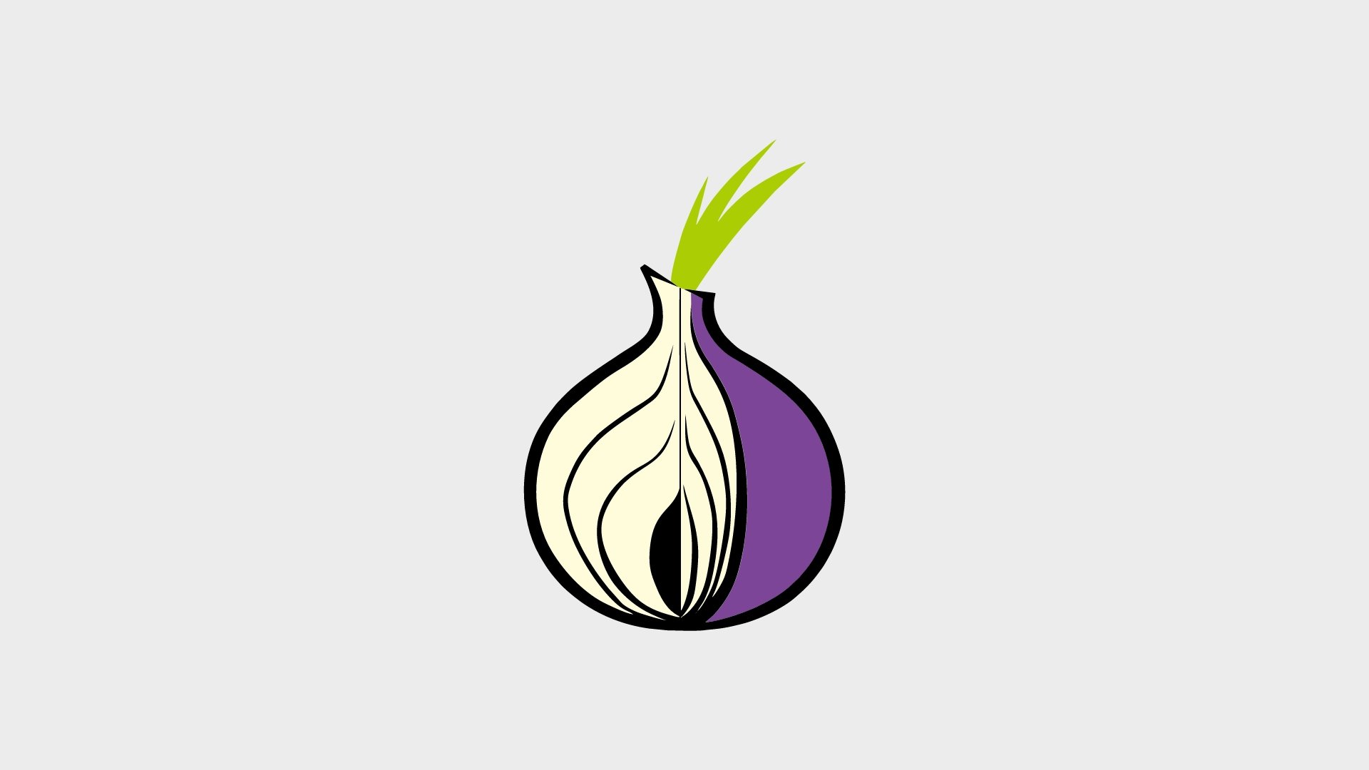 Tor logo